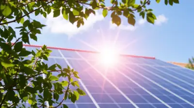 Solarheizung optimieren: Maximale Effizienz erzielen