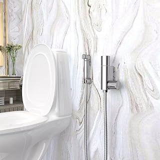 Thermostate Bidet Reinigung Set, Handbrause für Toilette und Bad, Sprühaufsatz mit Schlauch fü…