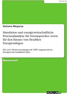 Simulation und energiewirtschaftliche Potenzialanalyse für Stromspeicher sowie für den Einsatz …