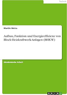 Aufbau, Funktion und Energieeffizienz von Block-Heizkraftwerk-Anlagen (BHKW)