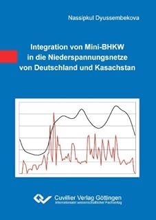 Integration von Mini-BHKW in die Niederspannungsnetze von Deutschland und Kasachstan